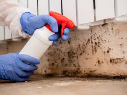 Best Water Damage & Mold Remediation  in USA